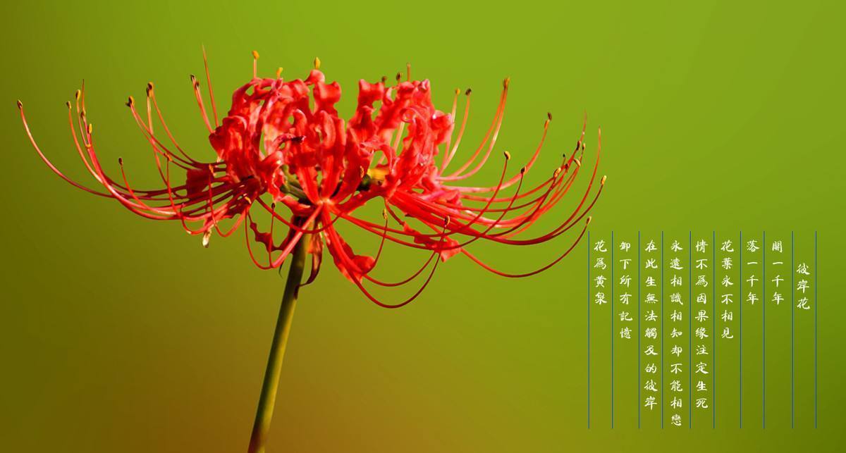 泛亚电竞|女人补血首先要补阴吗？