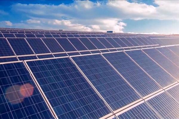 泛亚电竞_研究称高强度锻炼有助于降低得乳腺癌几率