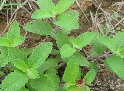 ‘泛亚电竞平台’农产品加工业专家委员会成立