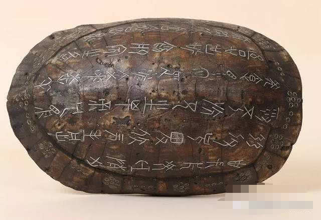 泛亚电竞平台：浙江嘉兴精品果蔬展销会上南湖生姜受青睐