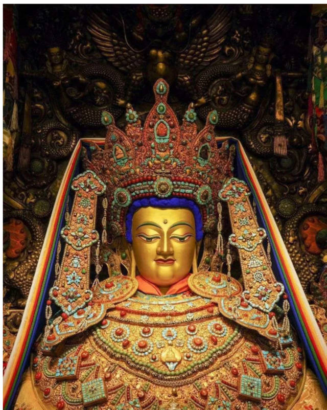 80后“猪倌”返乡创业 带动乡亲走上致富路_泛亚电竞