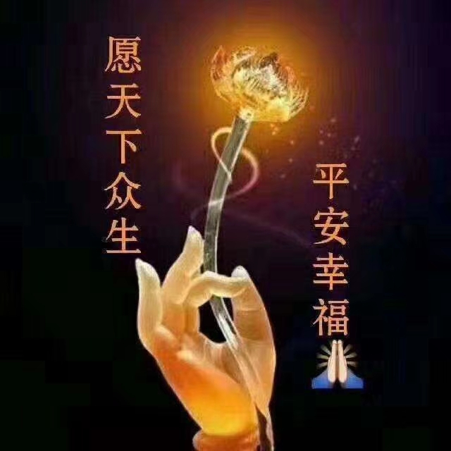 泛亚电竞_竹鼠怀孕鉴别方法