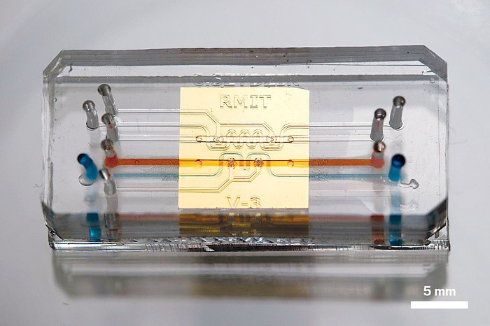 泛亚电竞_南北名优特农产品联展直销平台在陕启动(图1) 泛亚电竞